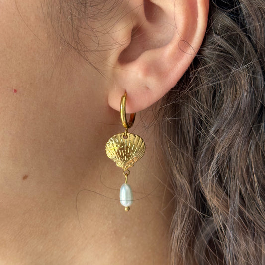 SHELL SEARCHING HOOP EARRINGS