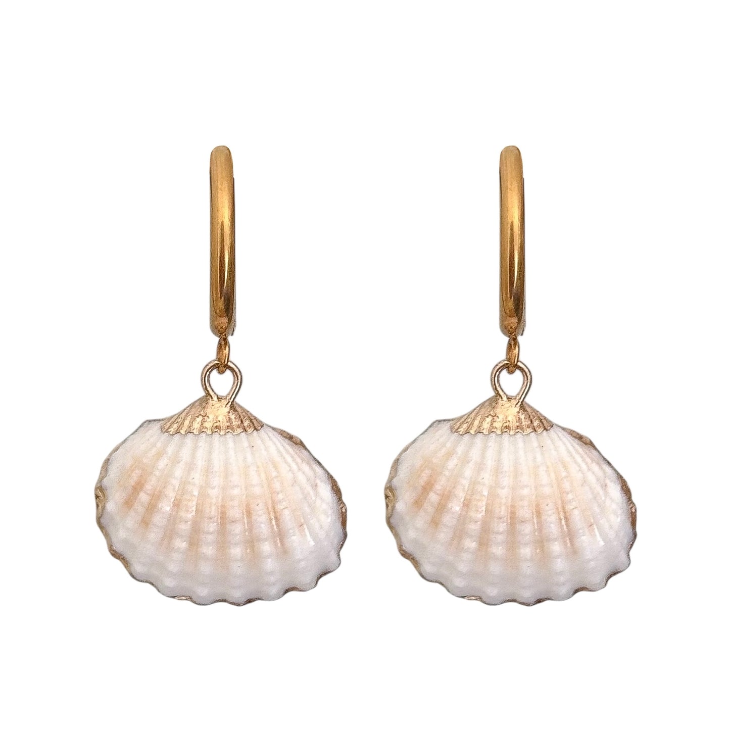 REAL SHELL EARRINGS