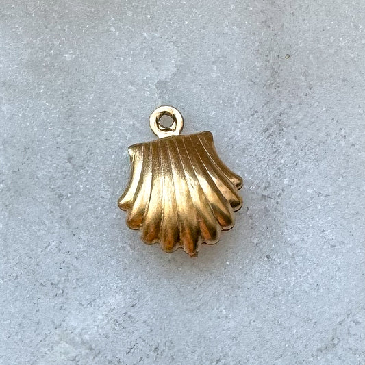 SHELL CHARM