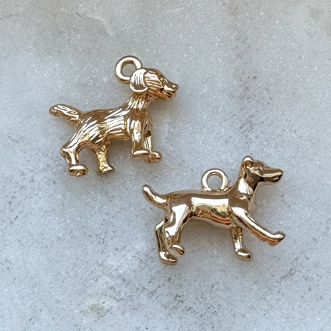 DOG CHARM