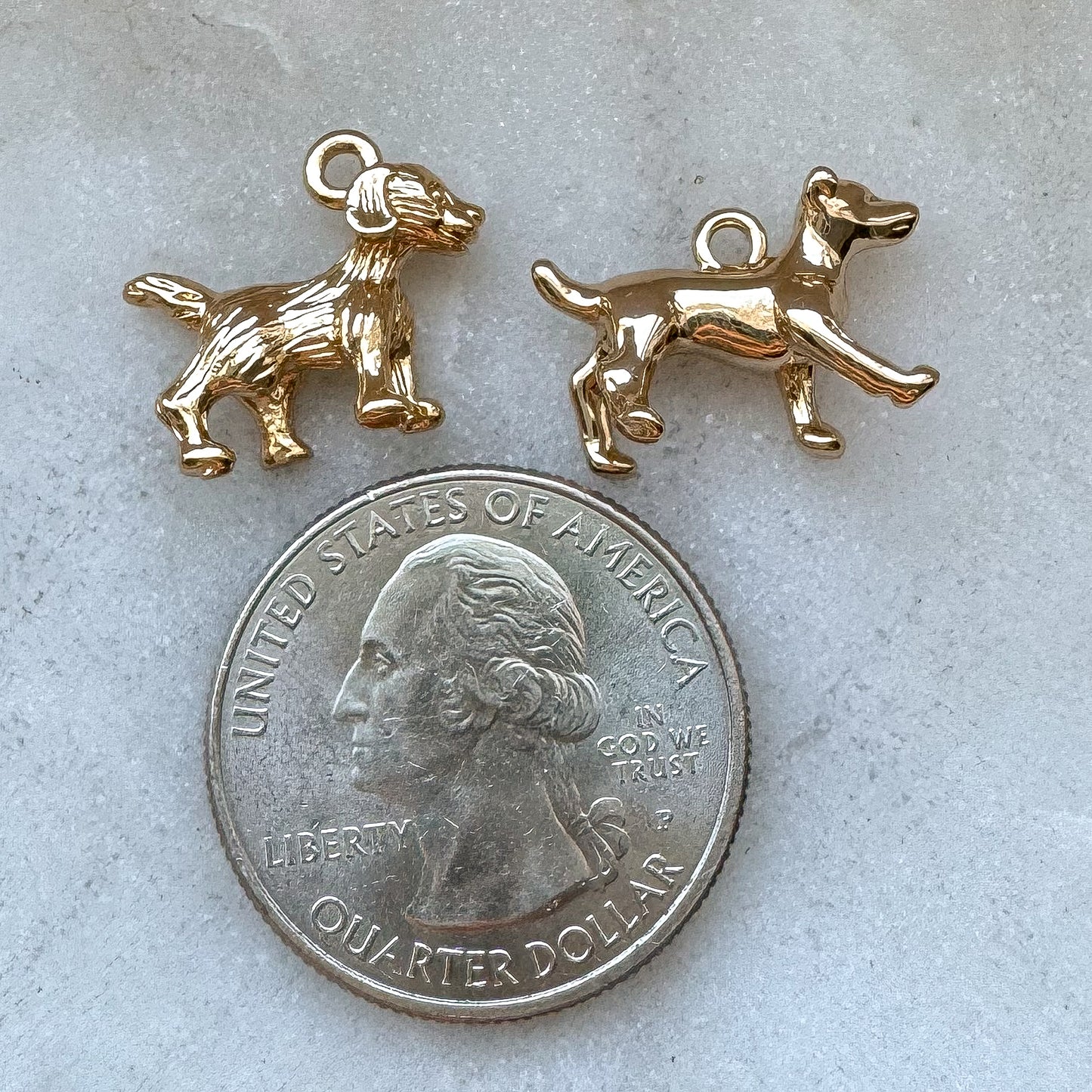 DOG CHARM