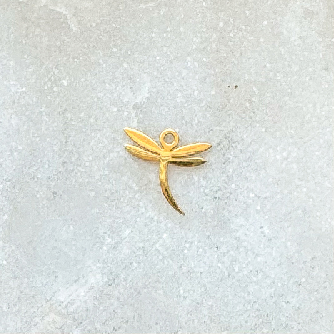 DRAGONFLY CHARM