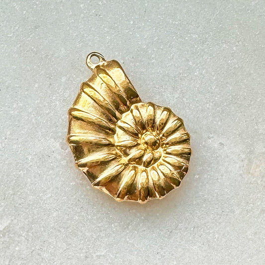 SHELL CHARM