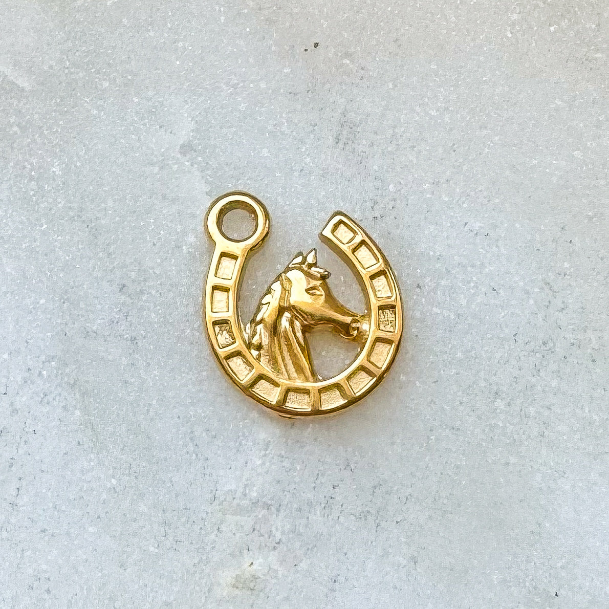 HORSESHOE CHARM