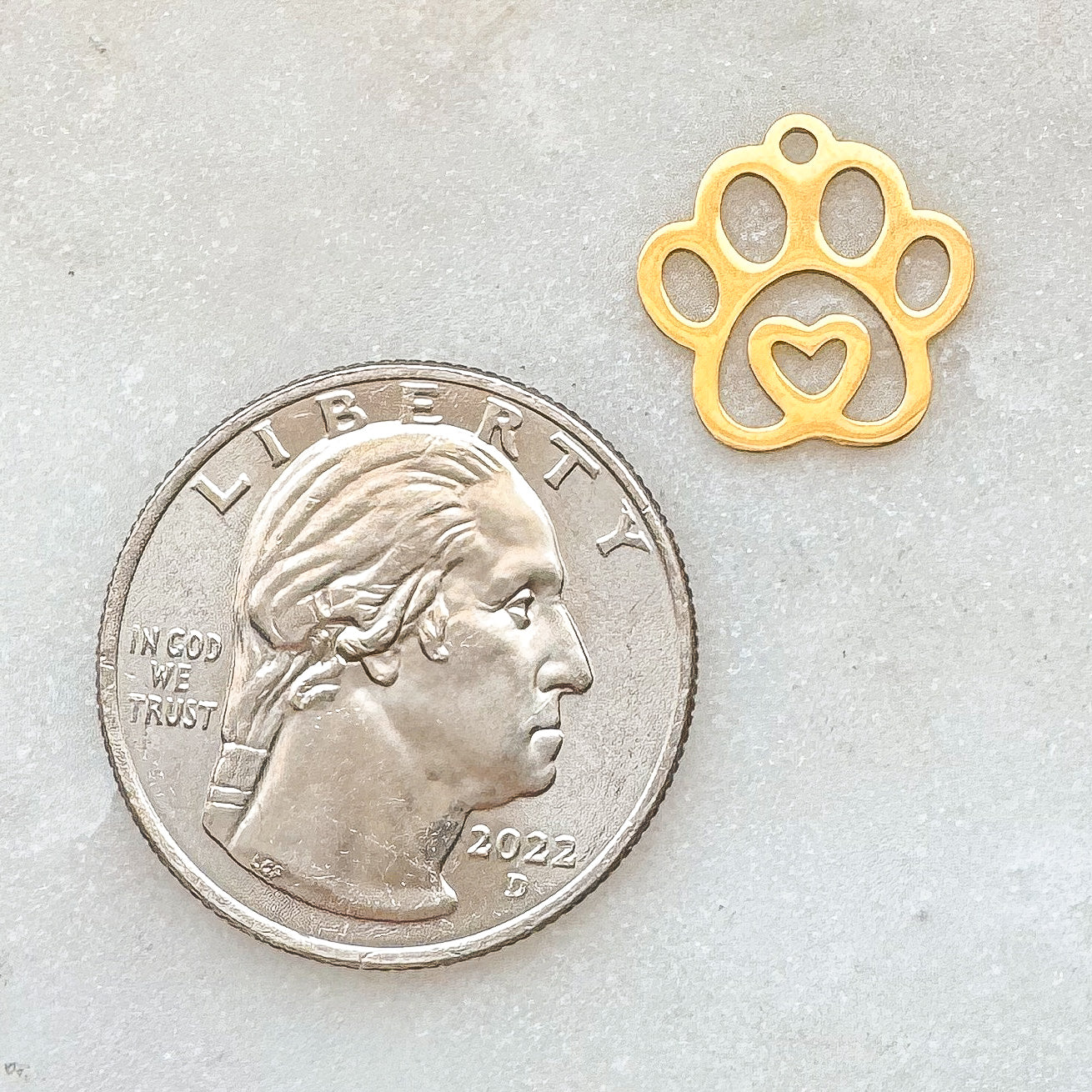 PAWPRINT CHARM