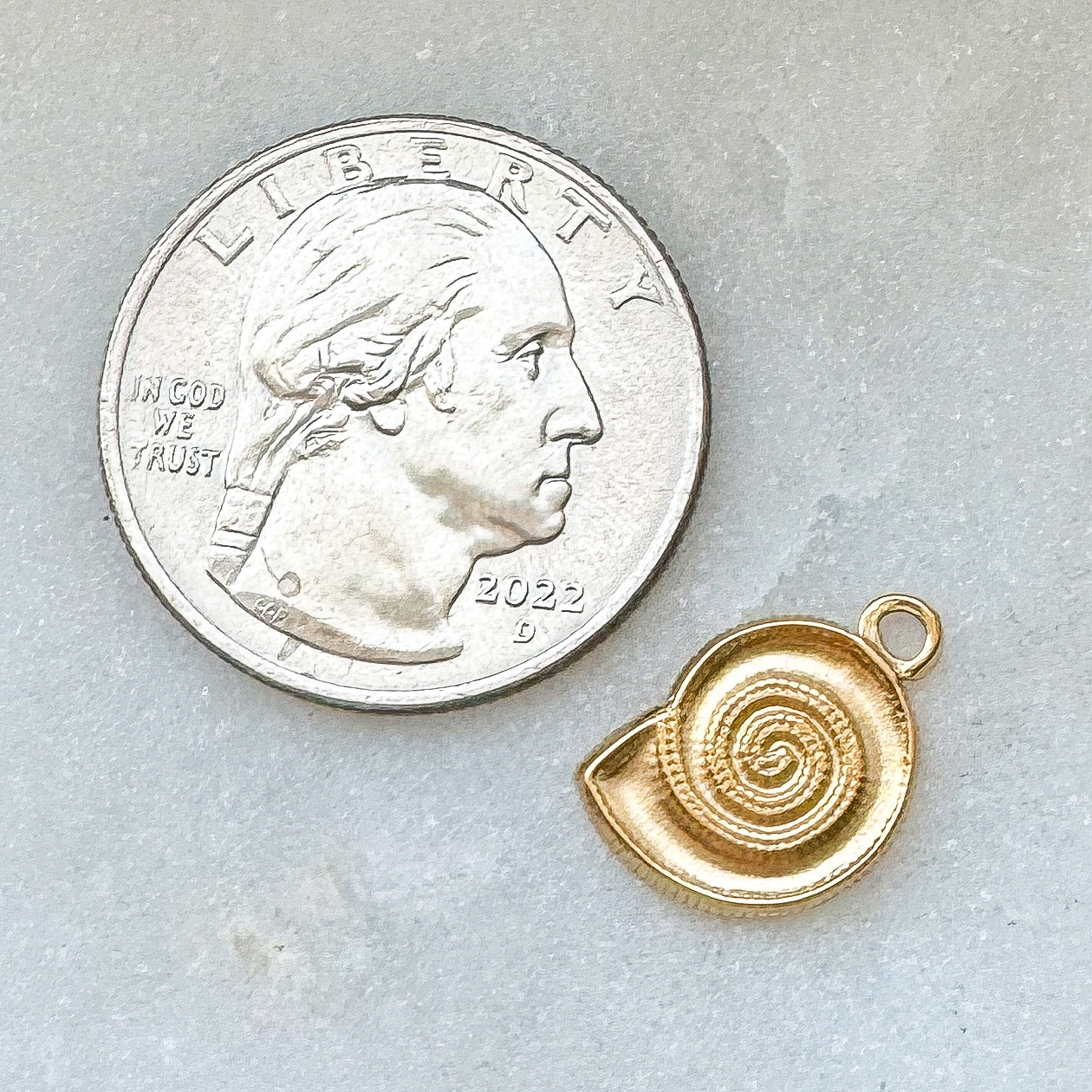 SHELL CHARM