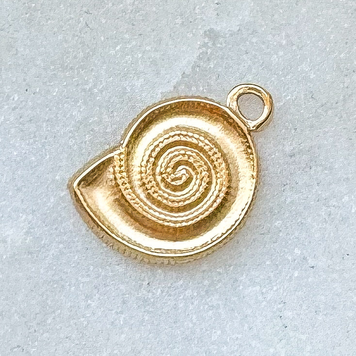 SHELL CHARM