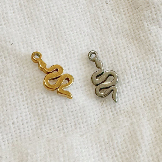 SNAKE CHARM