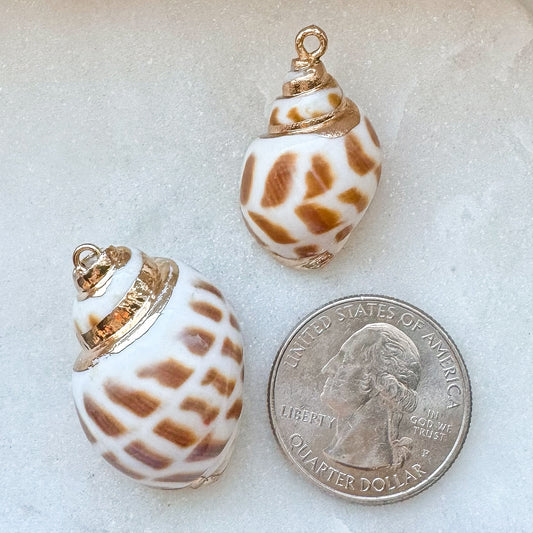 REAL SHELL CHARM