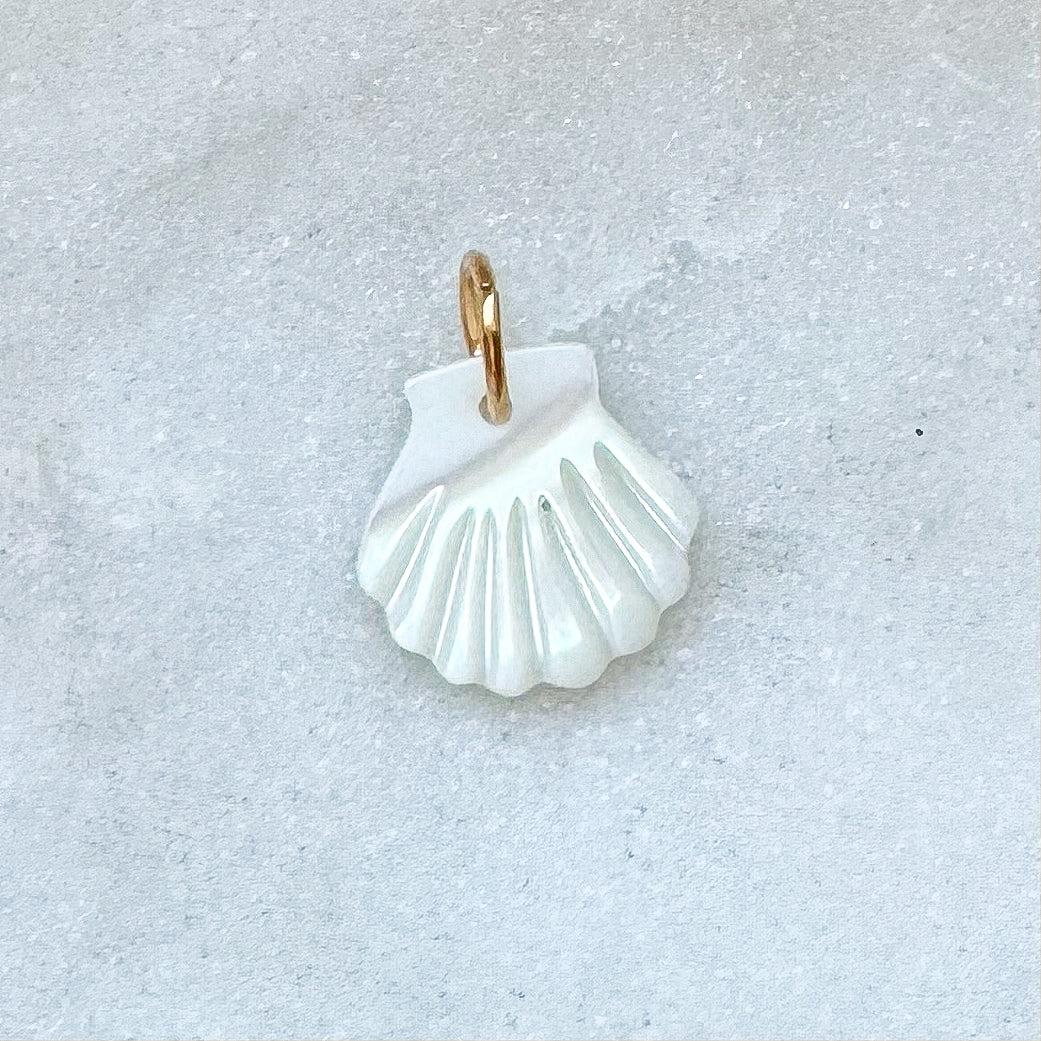 SHELL CHARM