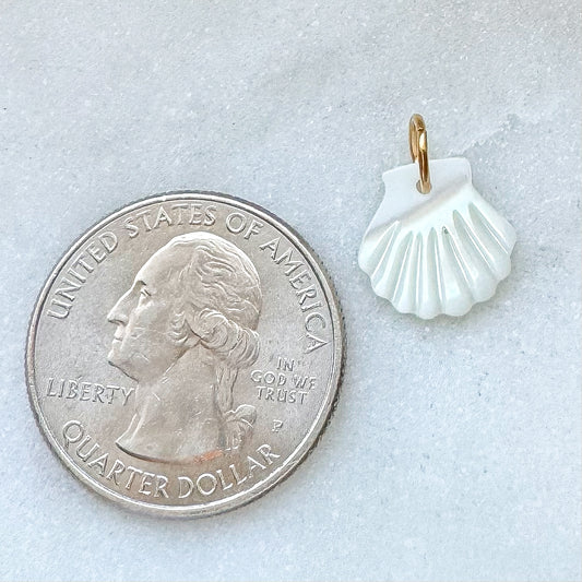 SHELL CHARM