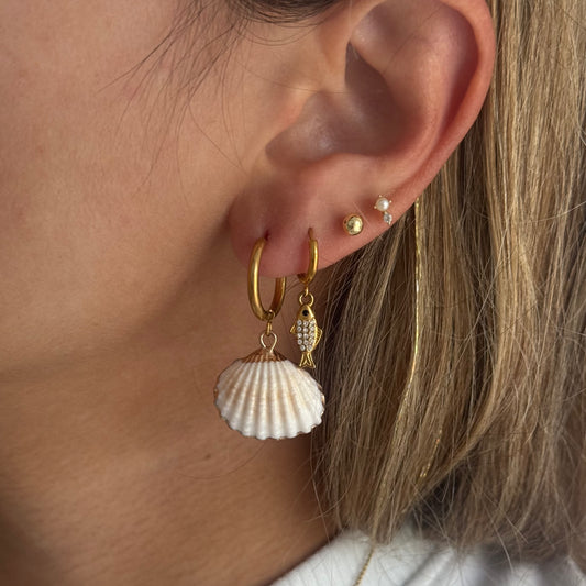 REAL SHELL EARRINGS