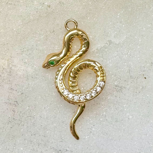 SNAKE CHARM