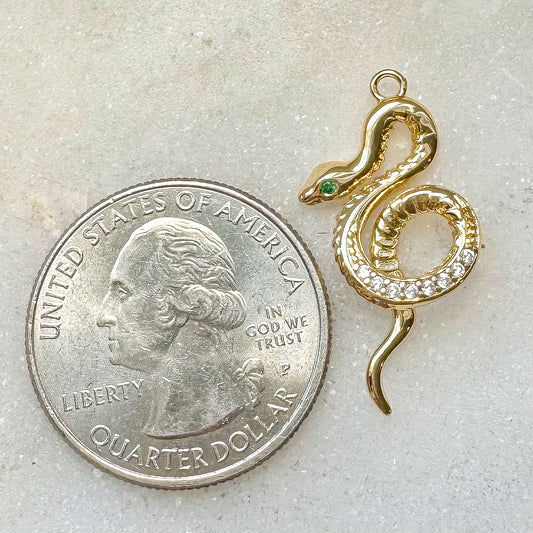 SNAKE CHARM