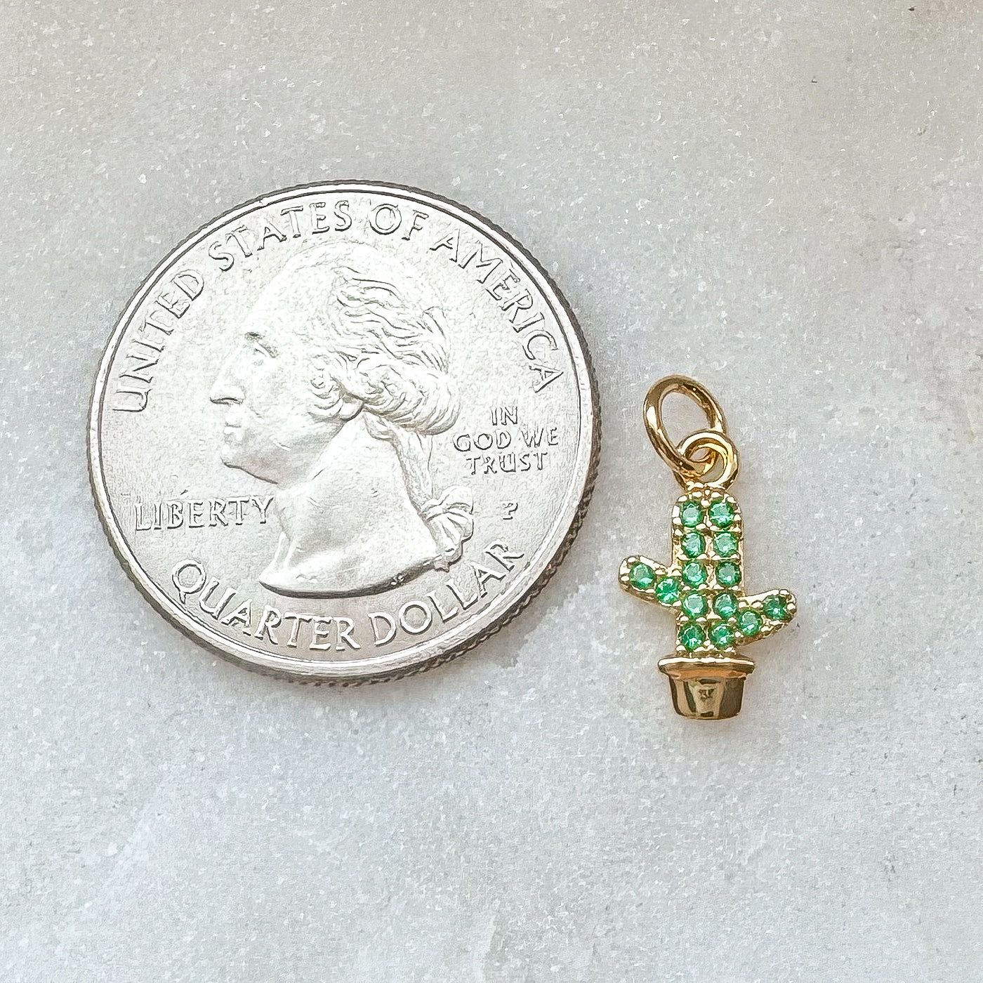 CACTUS CHARM