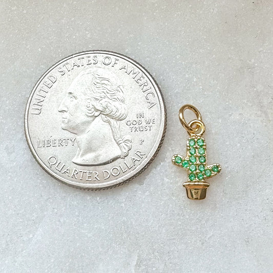 CACTUS CHARM