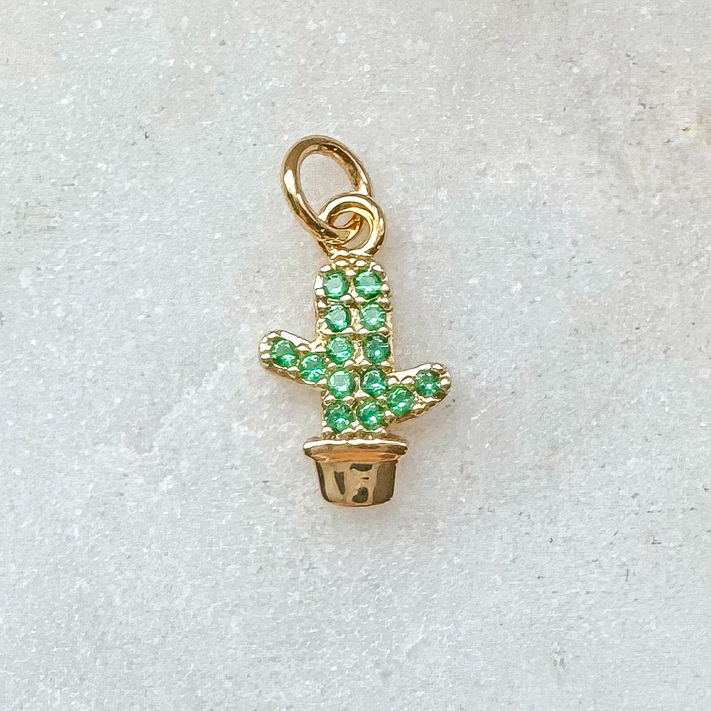 CACTUS CHARM