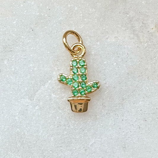 CACTUS CHARM