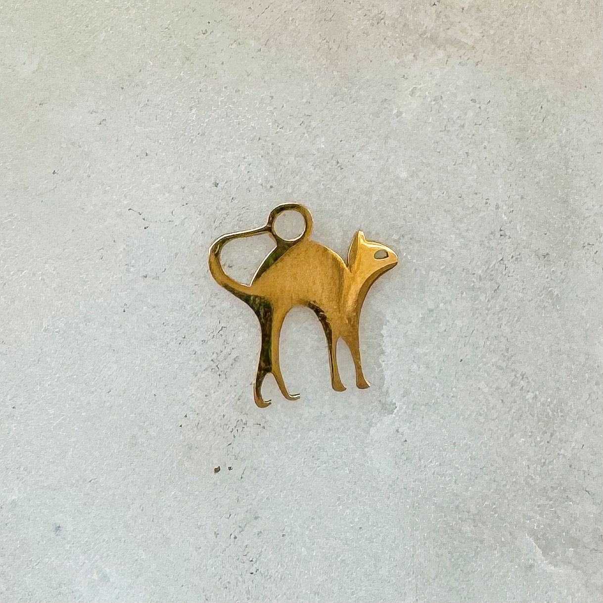 CAT CHARM