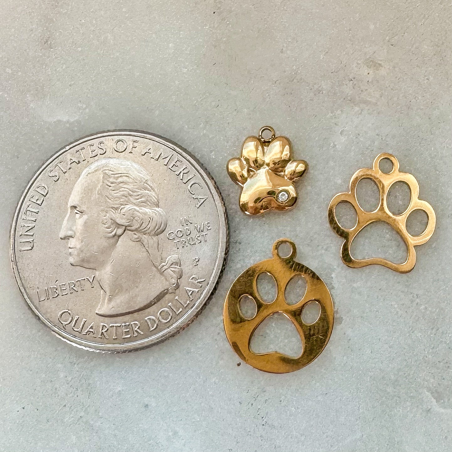 PAW PRINT CHARM