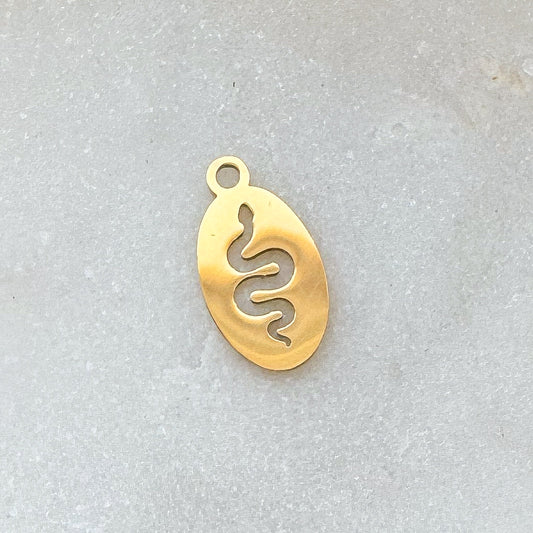 OVAL SNAKE CHARM