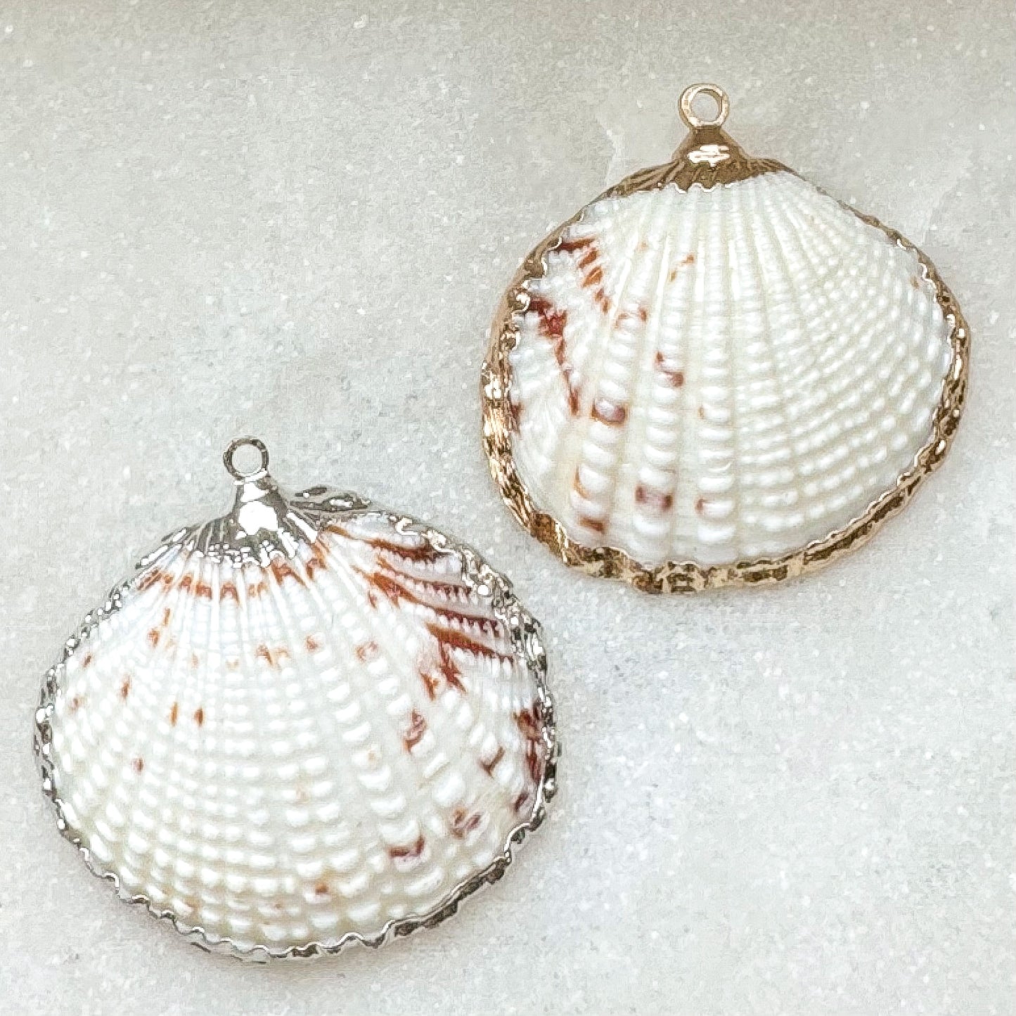 REAL SHELL CHARM