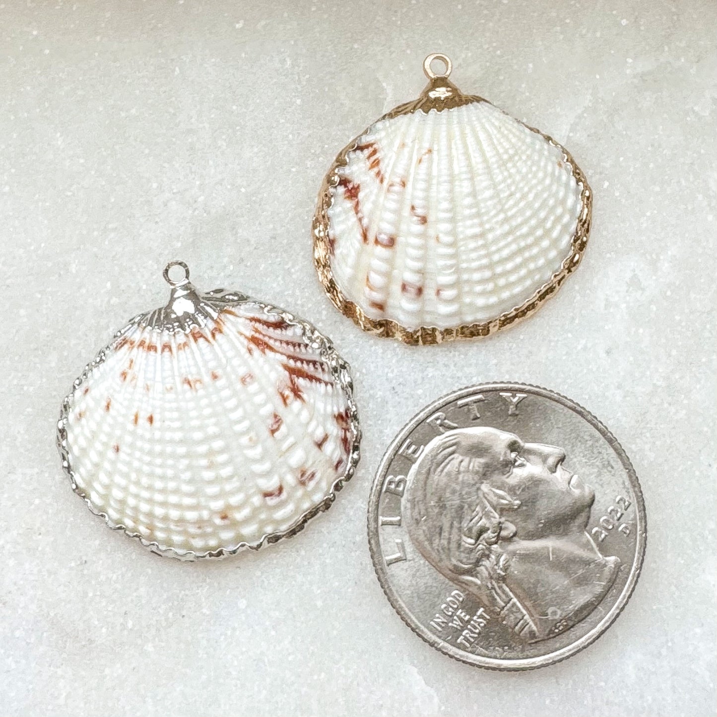 REAL SHELL CHARM