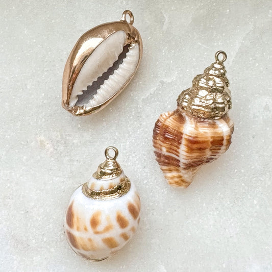 REAL SHELL CHARM