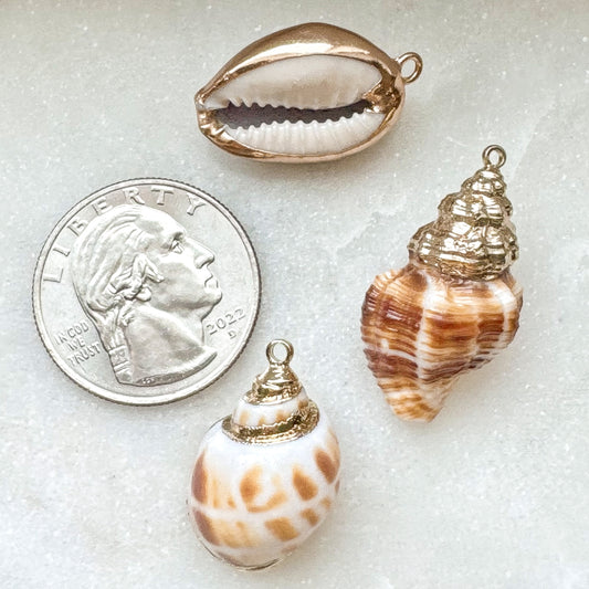 REAL SHELL CHARM