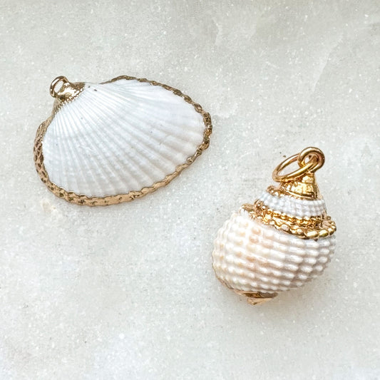 REAL SHELL CHARM