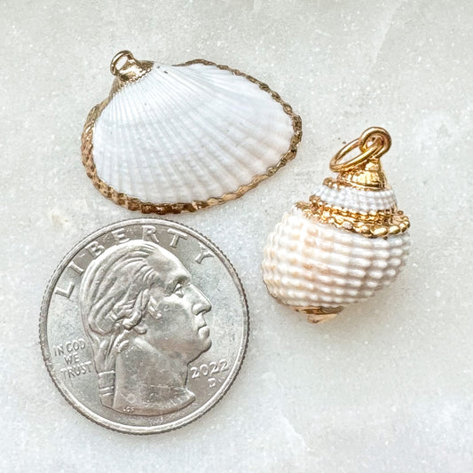 REAL SHELL CHARM