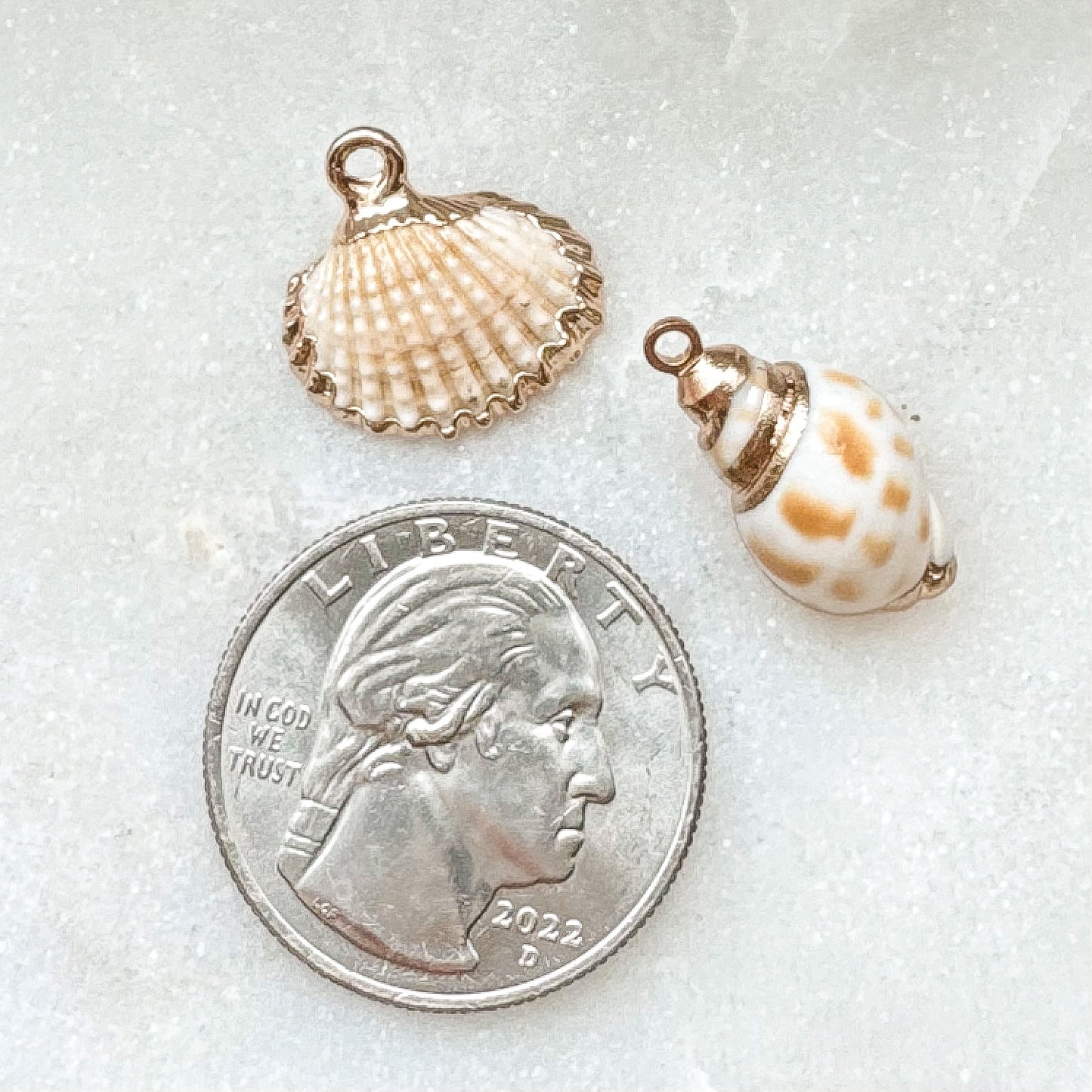 REAL SHELL CHARM