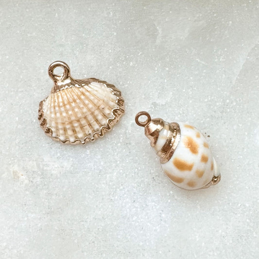 REAL SHELL CHARM