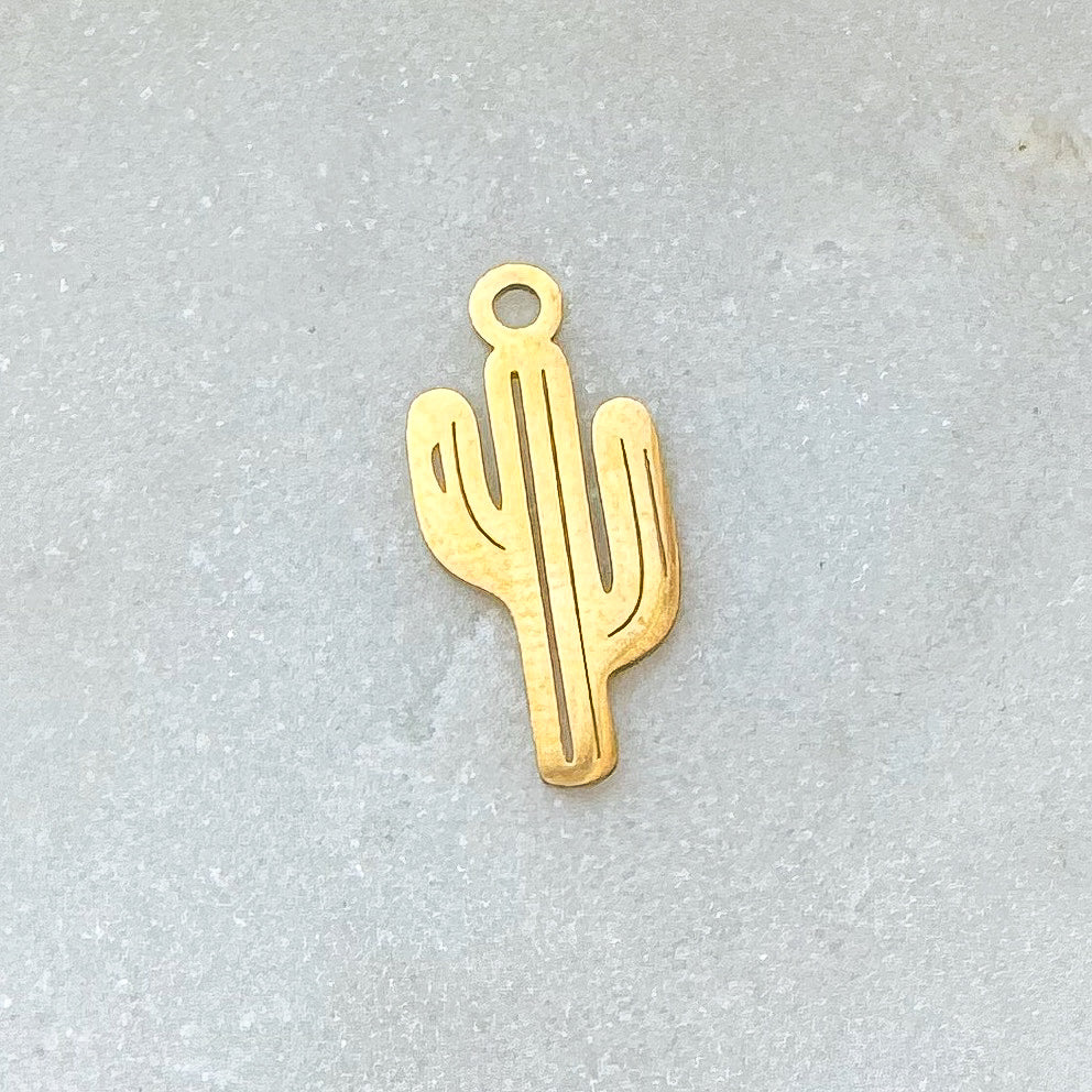 CACTUS CHARM