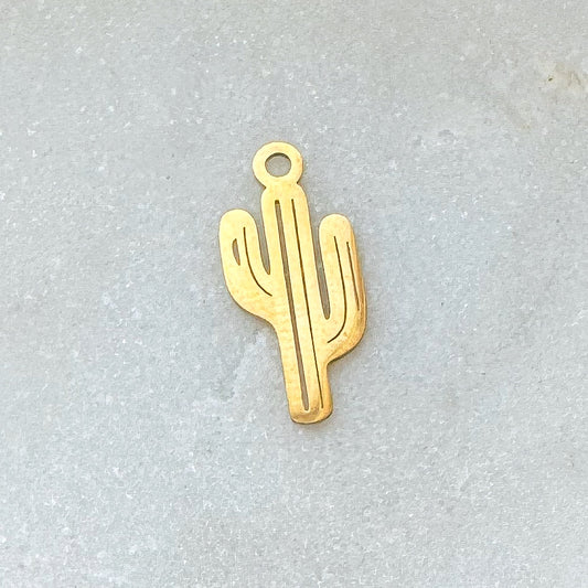 CACTUS CHARM