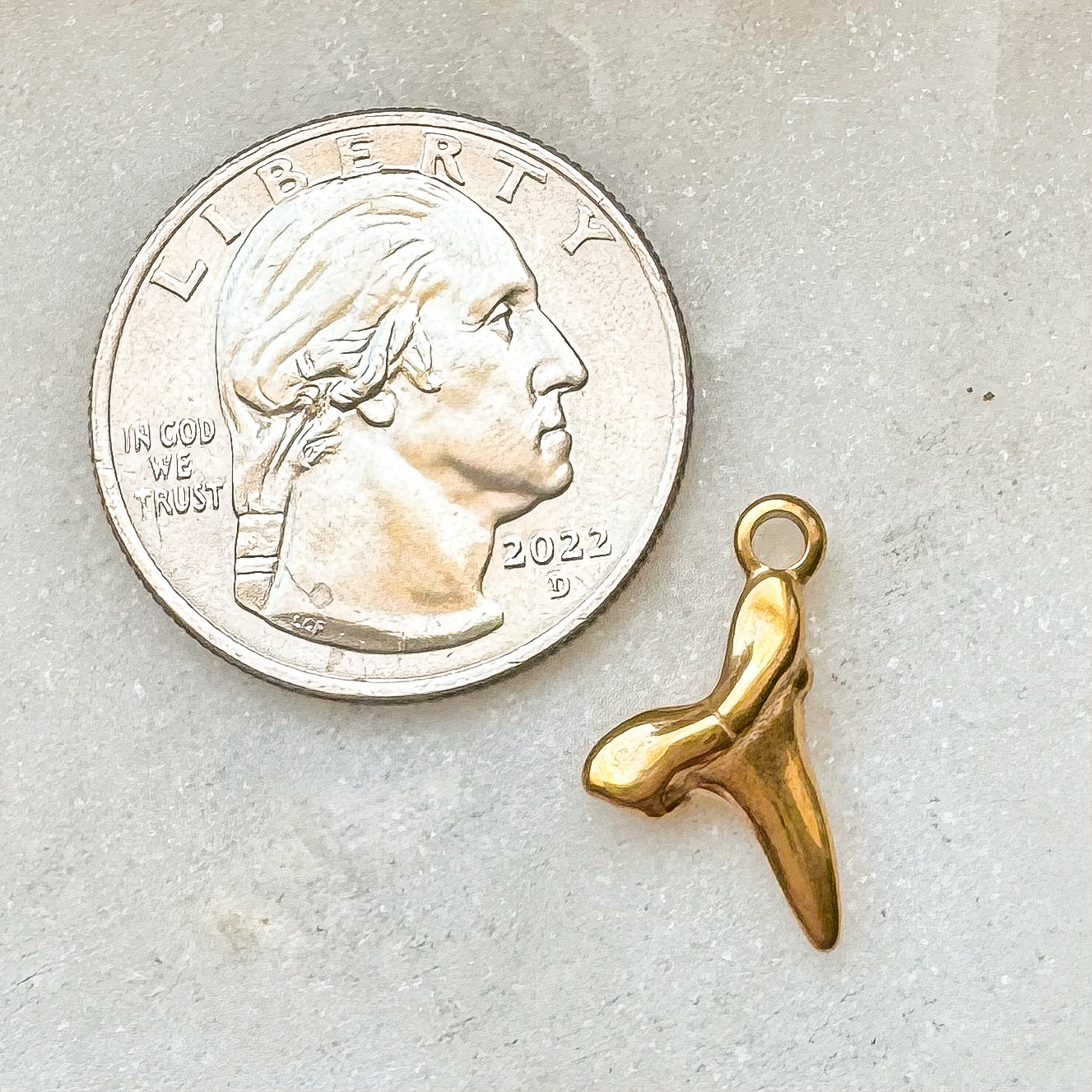 SHARK TOOTH CHARM