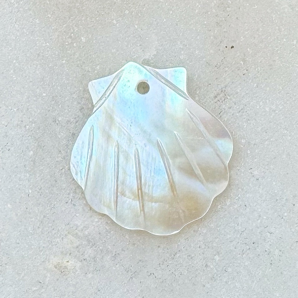 SHELL CHARM