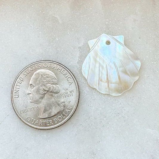 SHELL CHARM