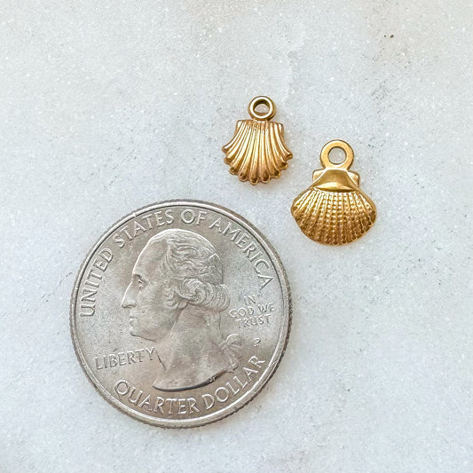 SHELL CHARM