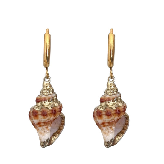 REAL SHELL HOOP EARRINGS