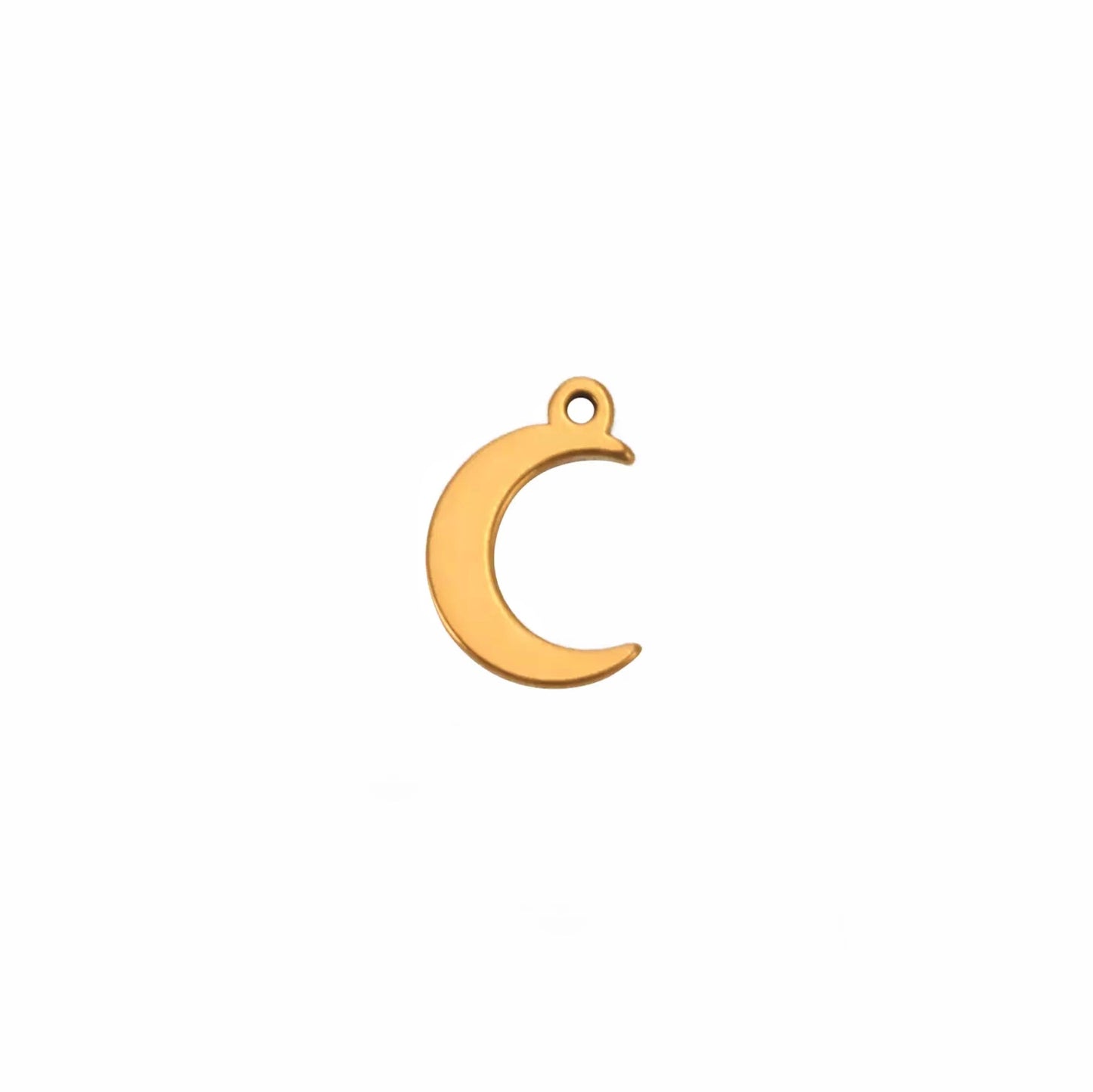 MOON CHARM